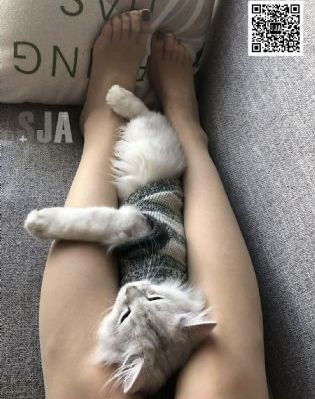 超碰人人摸人人操_4K日韩免费观看