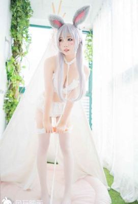 好吊妞视频一区二区_DVD免费在线观看